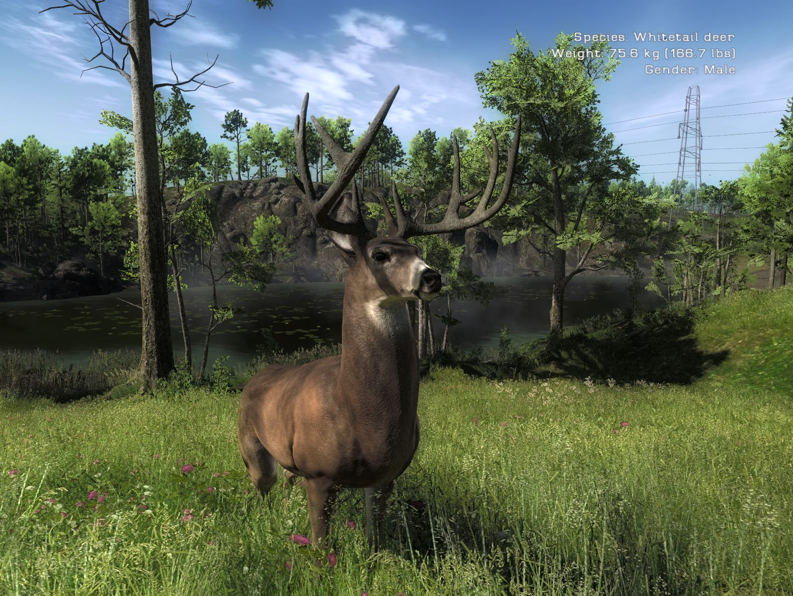 10 Best Hunting Games for PC