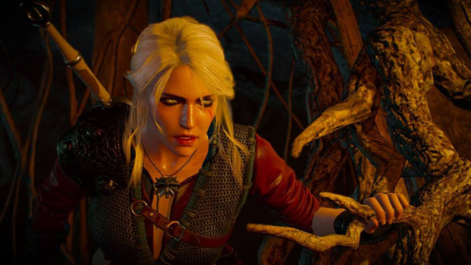 The Witcher 3 Wild Hunt e