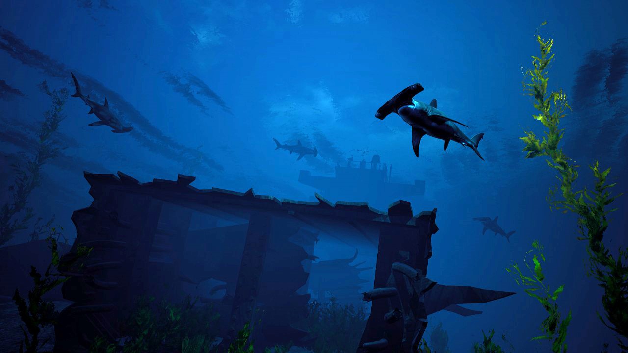 an underwater wreck surrounded by hammerhead sharks