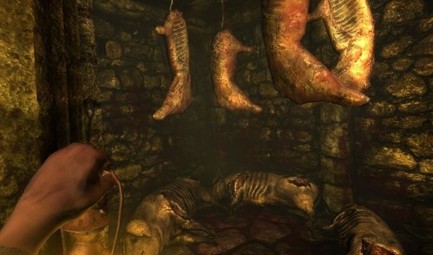 Amnesia:The Dark Decent-Walk through the gruesome areas as you try to survive 
