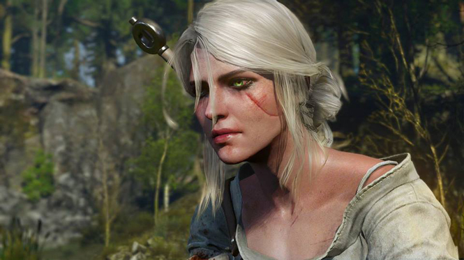 The Witcher 3 Wild Hunt d