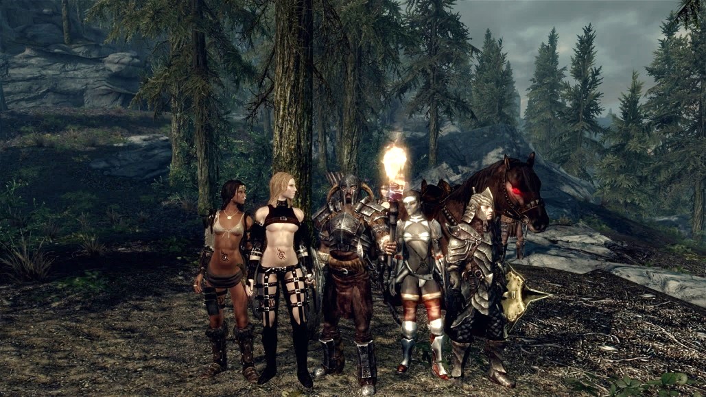 ultimate follower overhaul skyrim special edition