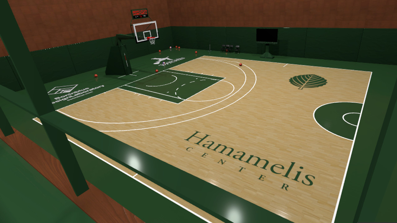 basketball games for pc