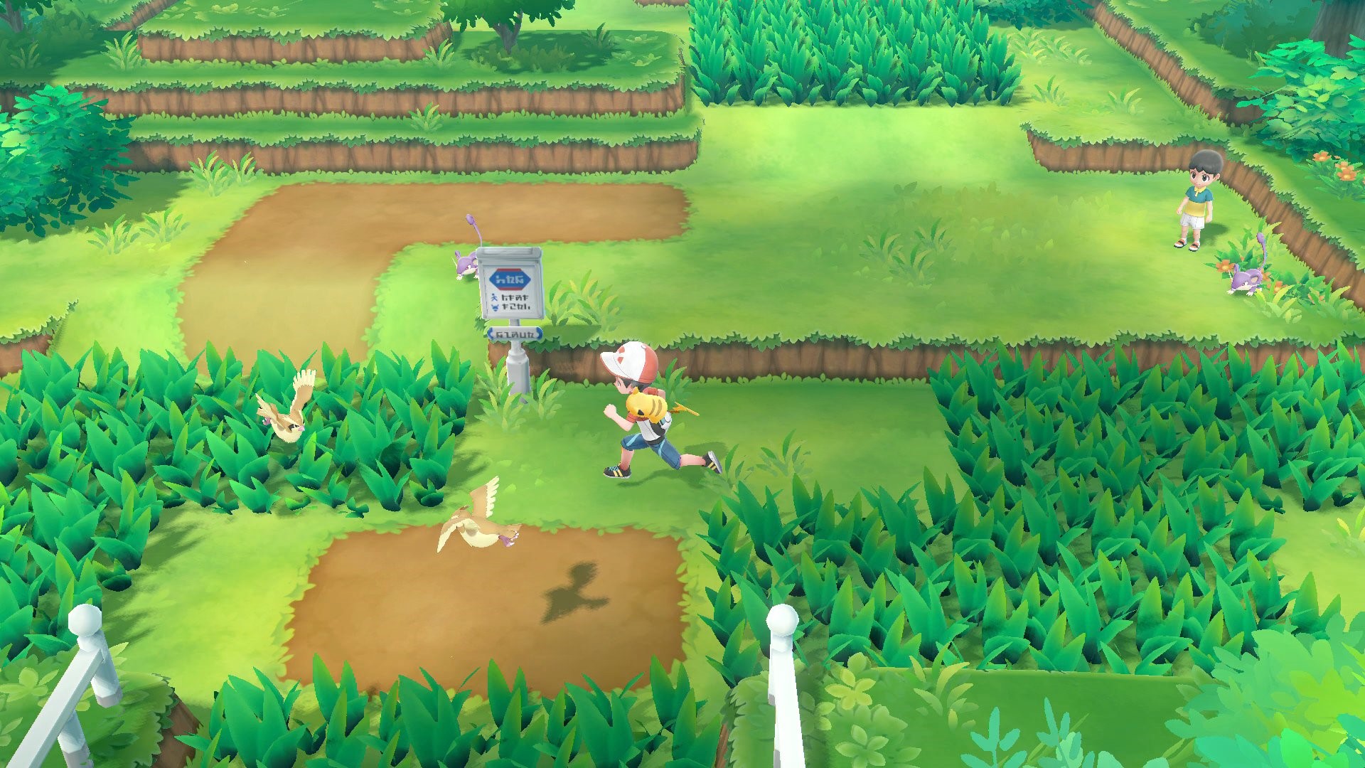 a player running toward a patch of grass with pokemon randomly strewn about 