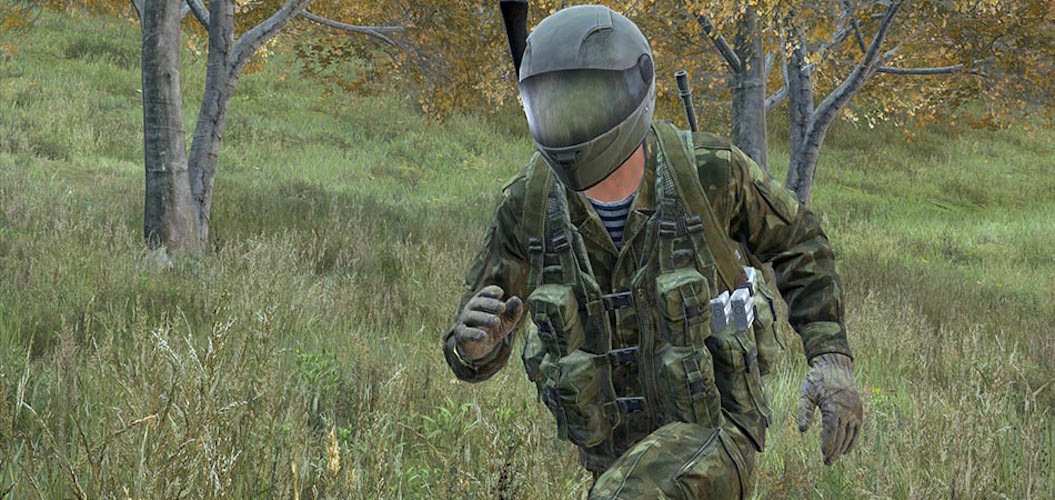 DayZ