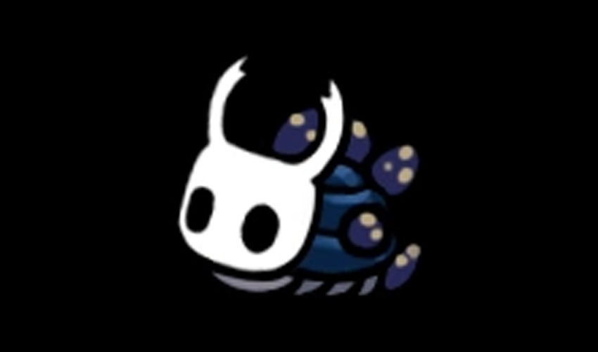 hollow knight all charm combos