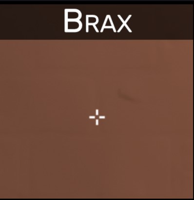 brax crosshair valorant