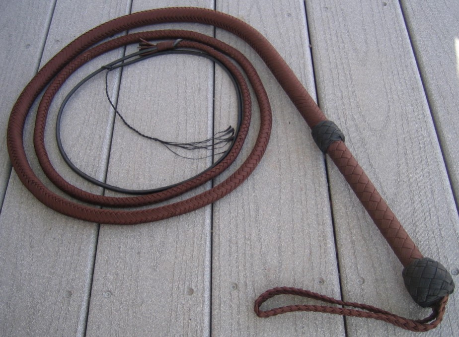 A whip is usually a long braided cord, in this case leather, with a handle (not all whips have one), and a small tip that goes supersonic when flicked right, hence the cracking sound.
