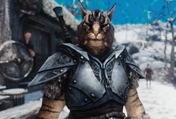 skyrim khajiit companion mod