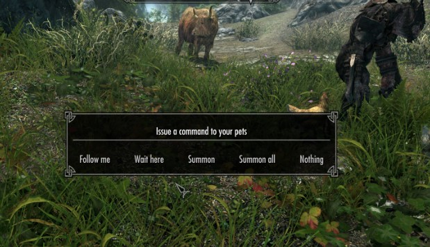 skyrim follower horse mod