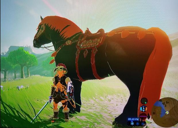 [Top 5] BOTW Best Horses and How To Get Them | Gamers Decide