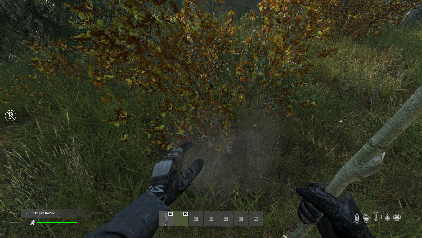 Тисы dayz что это