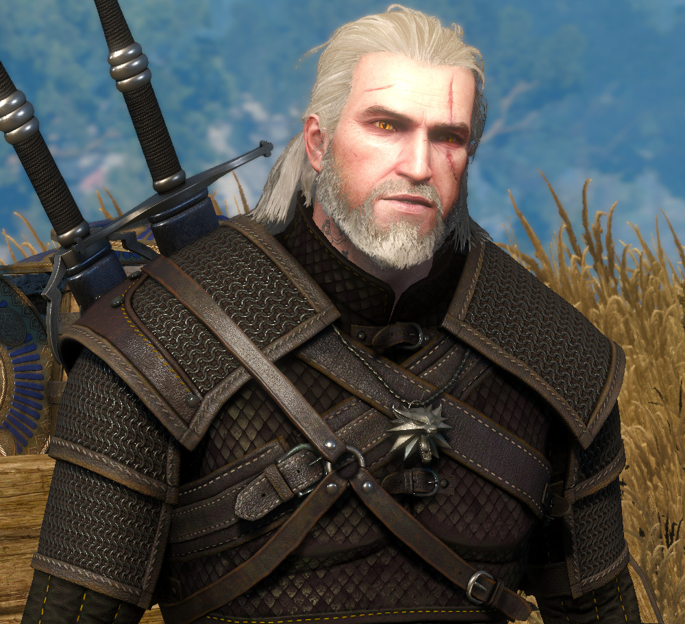 best armor in witcher 3