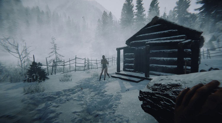 The Forest 2 Release Date, Gameplay, Trailers, Story, News