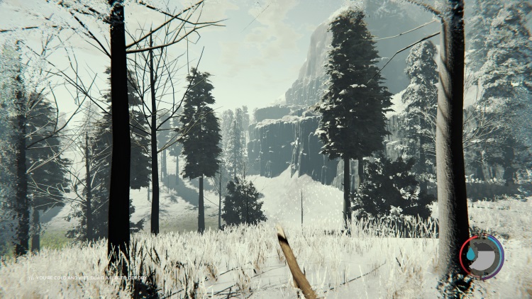 The Forest - Snowy Mountains area