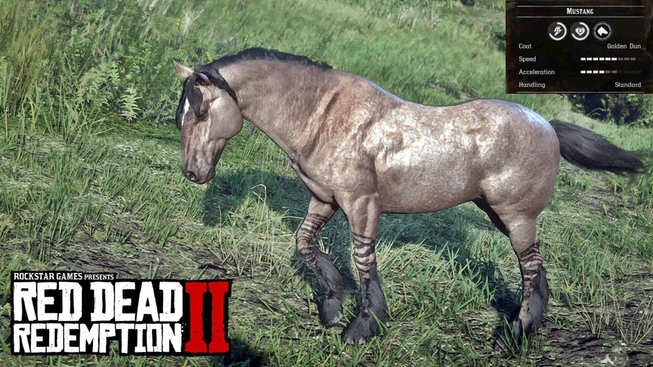 [Top 5] RDO Best Looking Horses In The Game (And How To Get Them