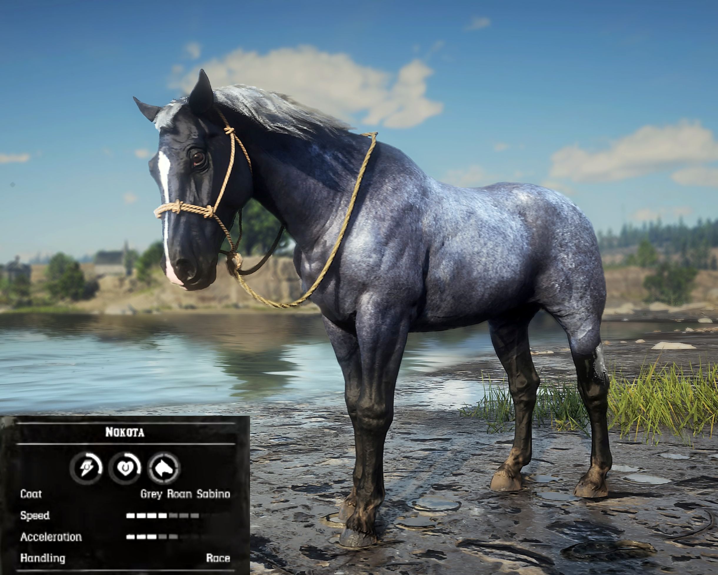 [Top 10] RDO Best Horses In The Game (And How To Get Them) GAMERS DECIDE