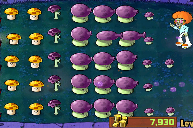 An example of the Mushroom Setup.