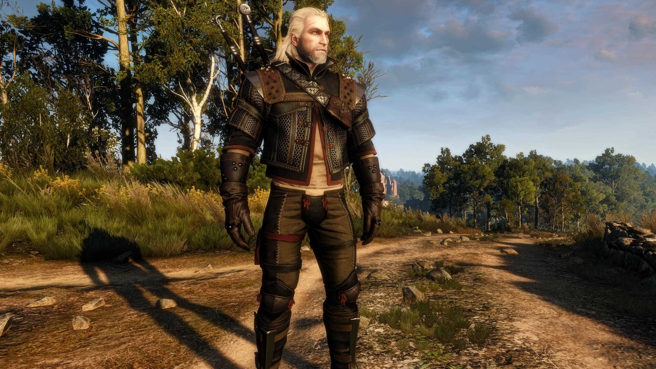 [Top 15] The Witcher 3 Best Mods For Armor | Gamers Decide