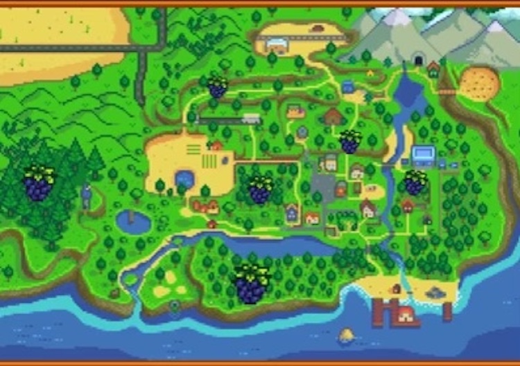 Blackberries all over the Stardew Valley map.