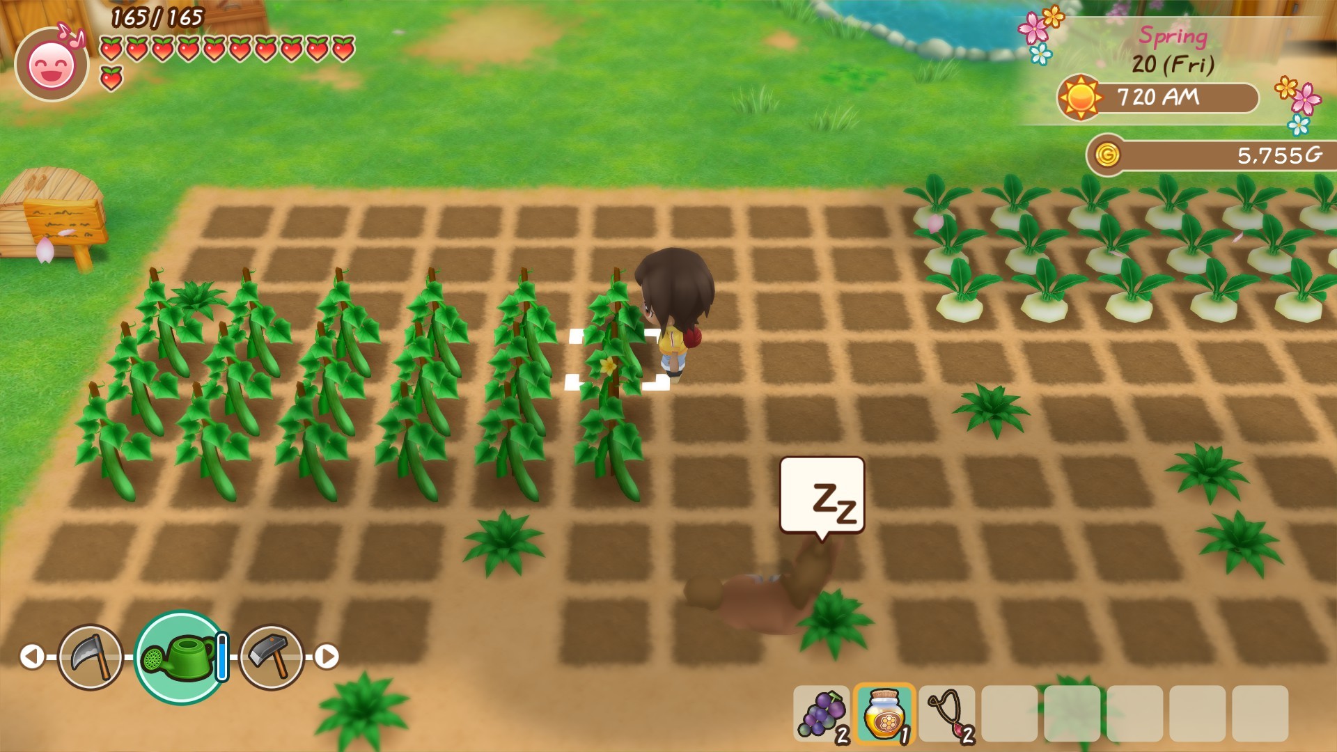 The farming field in Friends of Mineral Town