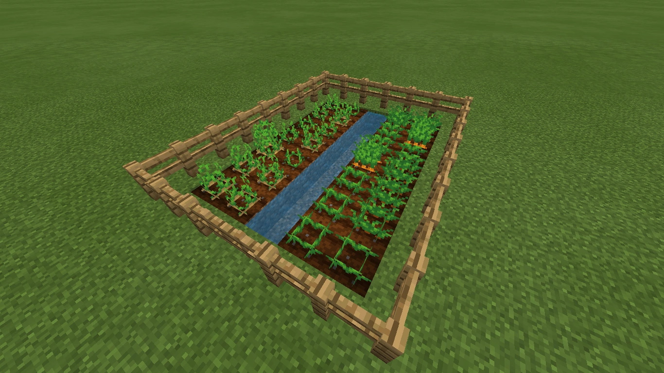 A small carrot farm in Minecraft