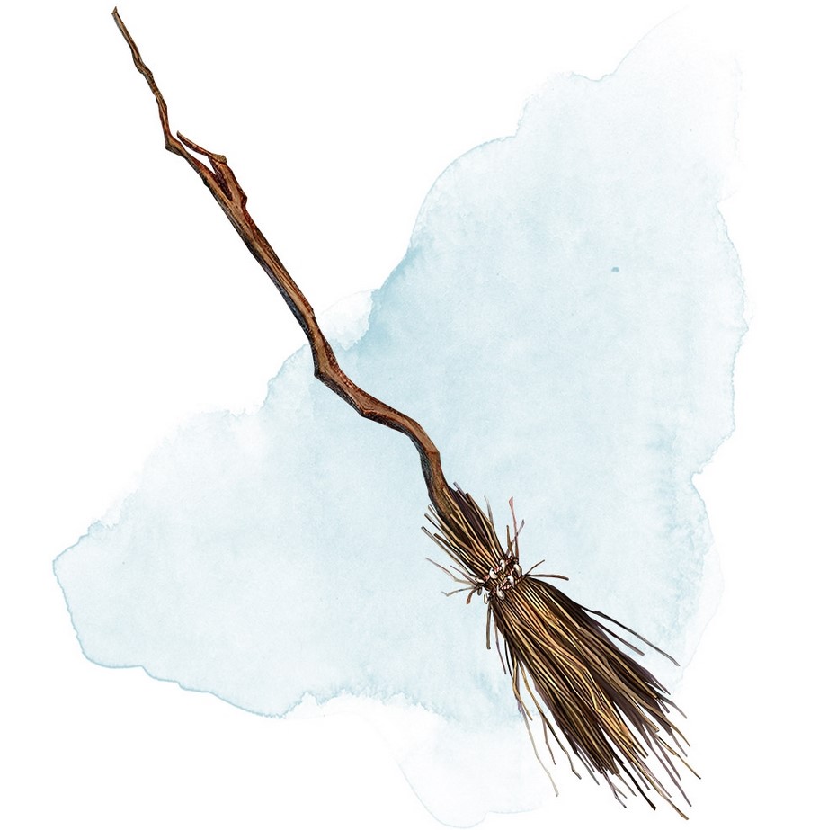 Wizards of the Coast: Broom of Flying