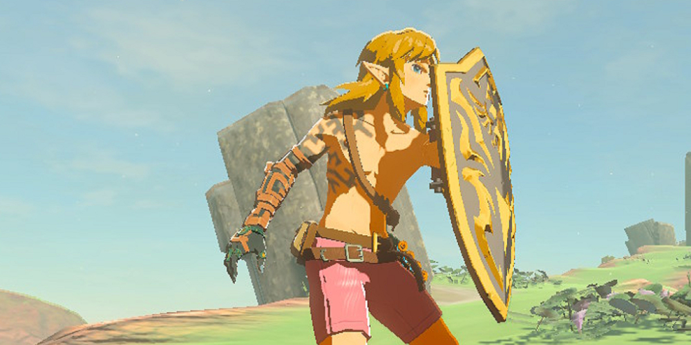 Zelda: Tears of the Kingdom Royal Shield