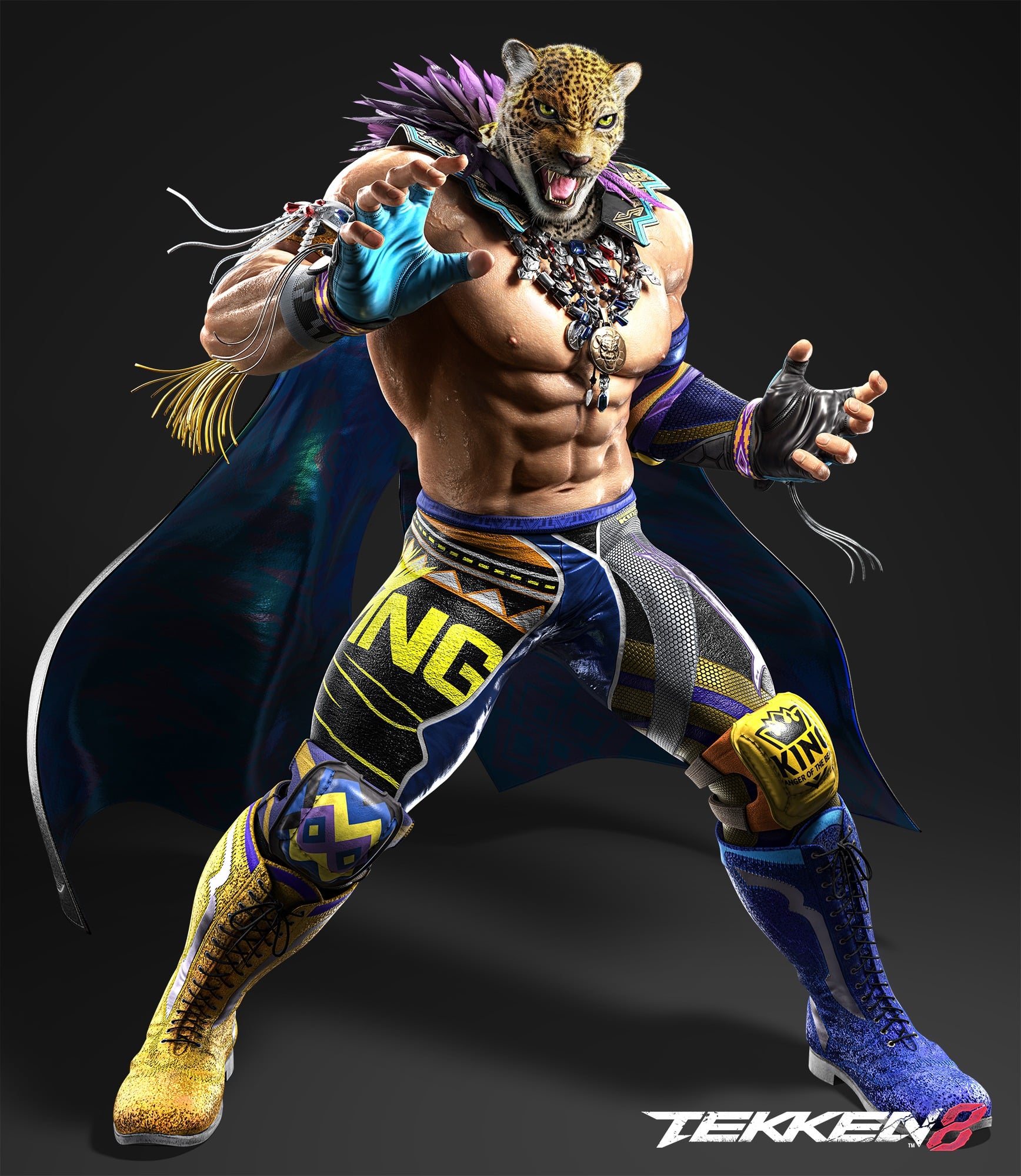 Official character render of King