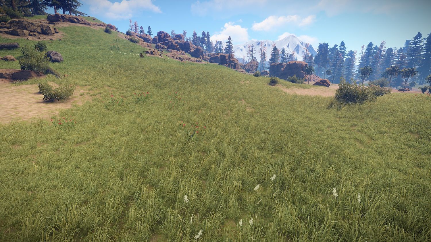 A screenshot from Rust showing off high grass quality, good luck looking for chickens in grass that thick.