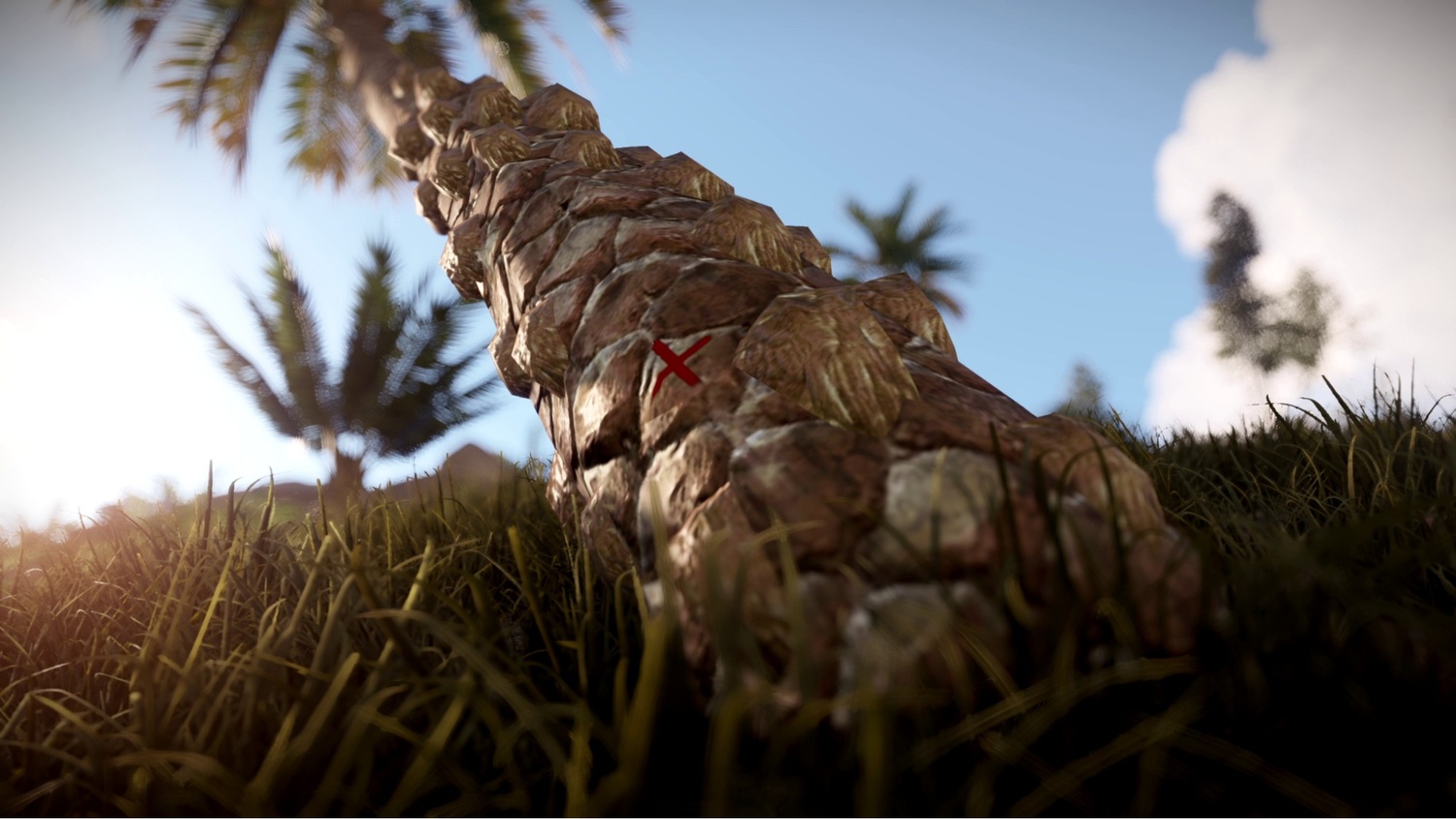 A super zoomed-in photo of a palm tree in Rust, note the attention to detail.