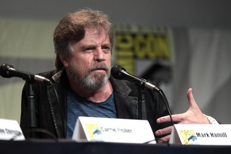 Hundreds of Fans Give Mark Hamill Warm in San Diego GAMERS DECIDE