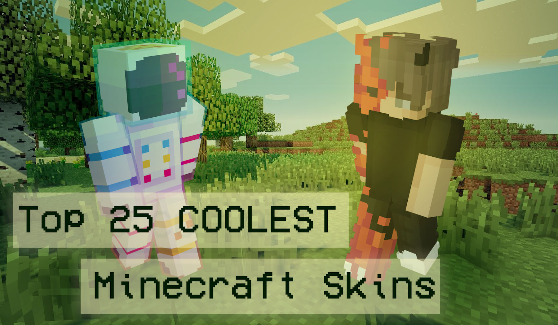 un realistic  Minecraft Skins