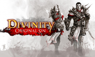 Divinity Original Sin: Review and Gameplay
