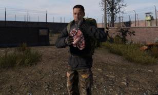 DayZ How To Cure Sickness