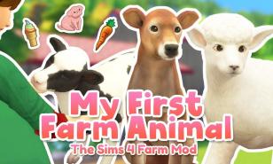 Sims 4 Best Pet Mods