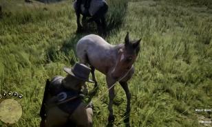 Red Dead Redemption 2 Best Horses