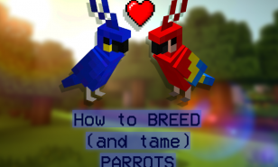 Thumbnail of two Parrots from Minecraft. They are implied to be in love.