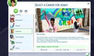 Sims 4 best Career mods