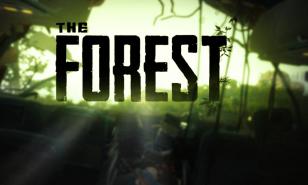 The Forest and its Horrors