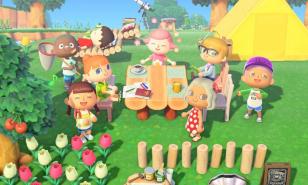 Animal Crossing: New Horizons Beginner’Guide