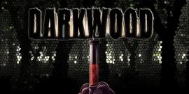 darkwood, RPGs, best horror games 2017