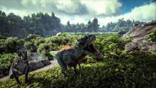 Dinosaurs roam the island, and players can tame them or defeat them