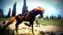 You'll find a reliable horse to be an important companion in BDO.