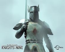 This image depicts a crusader holding an iron sword, ready for battle