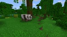 Jungle biomes are home to pandas. How cute! 