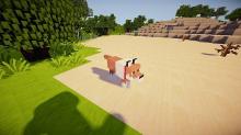 This realistic Texture Pack adds new colors and designs to blocks and mobs to replicate real-world images for a new level of exciting gameplay.