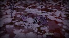 Don't Starve Reign of Runts Mod