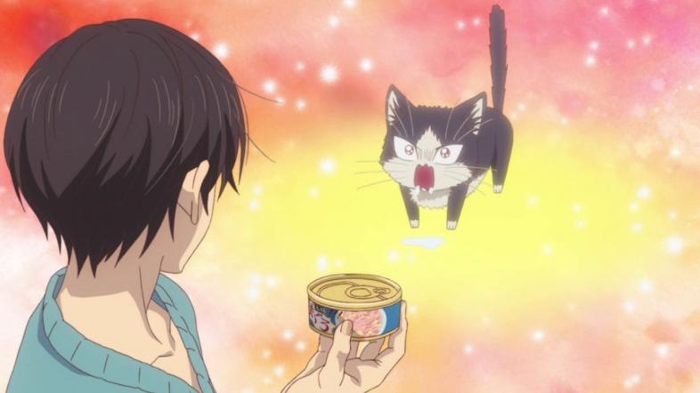 Anime Cat GIF - Anime Cat - Discover & Share GIFs