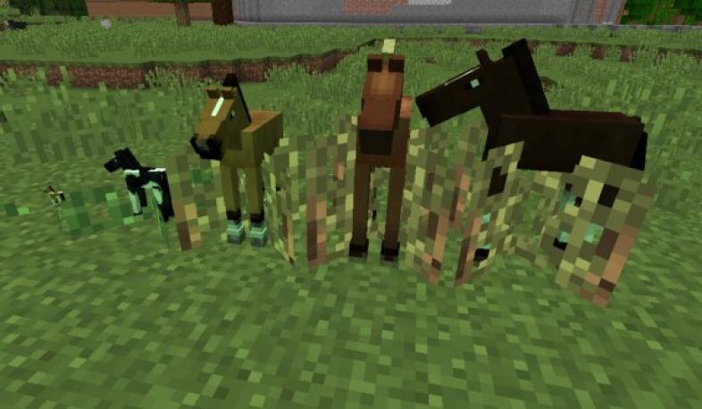 Top 10 Minecraft Best Animal Mods For Great Fun Gamers Decide